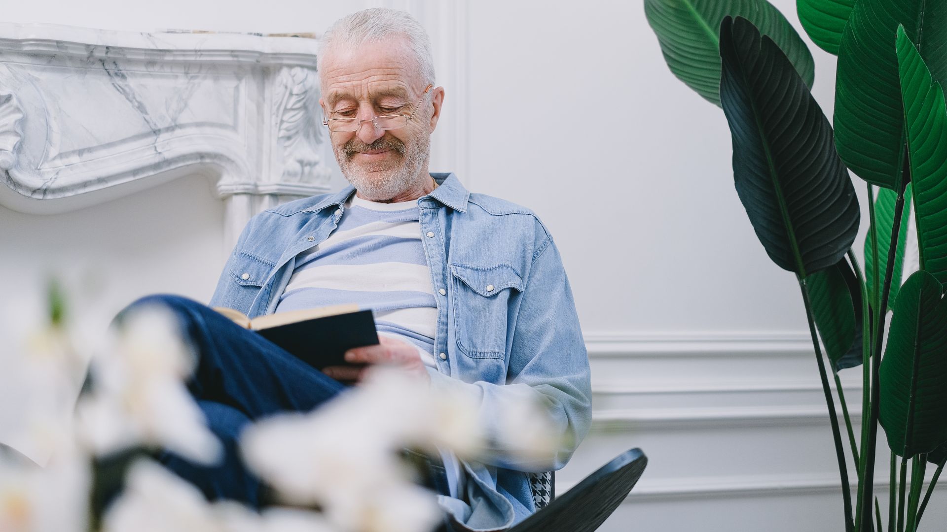 cognitividade na terceira idade