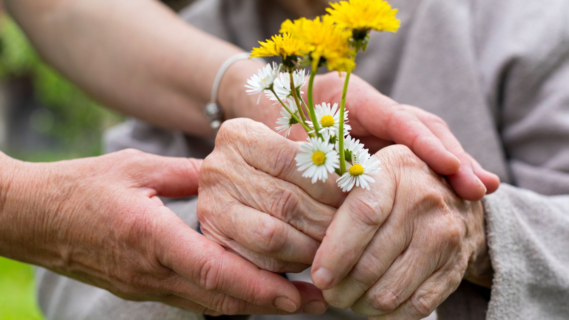 Transformações na terceira idade