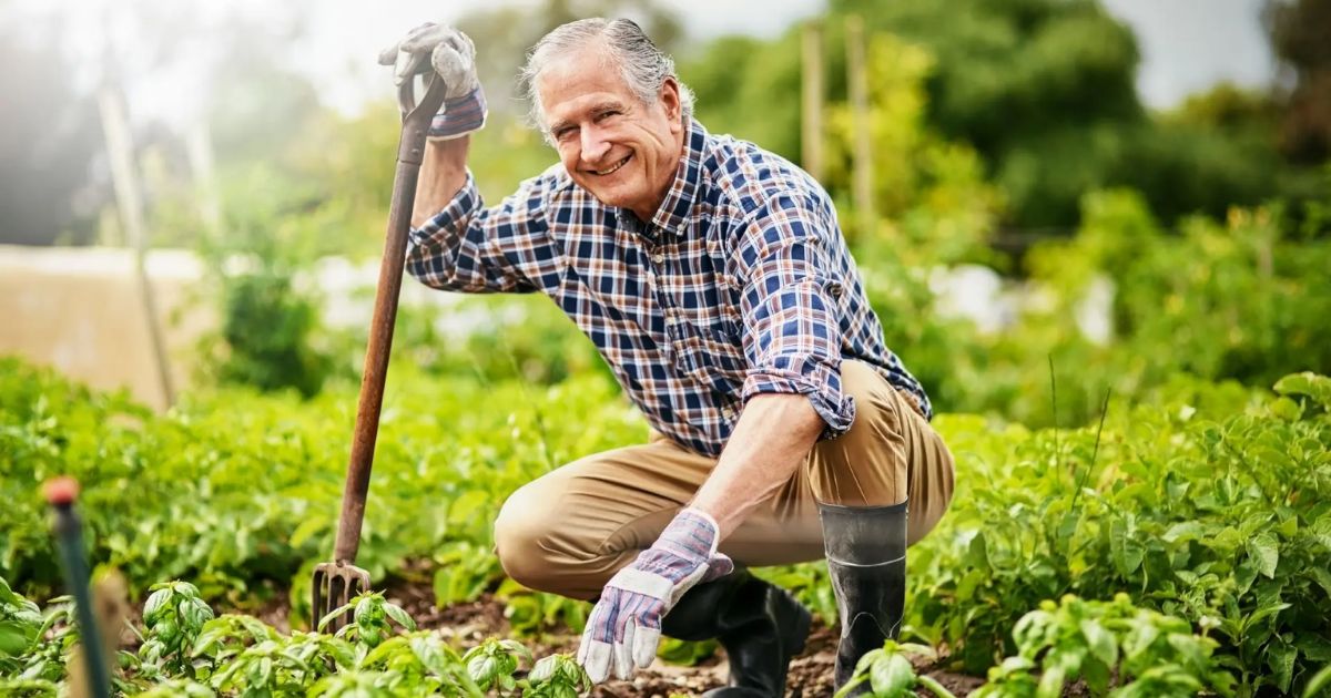 Um Refúgio de Bem-Estar