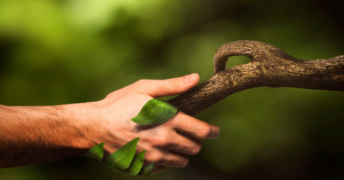 Terapias integrativas